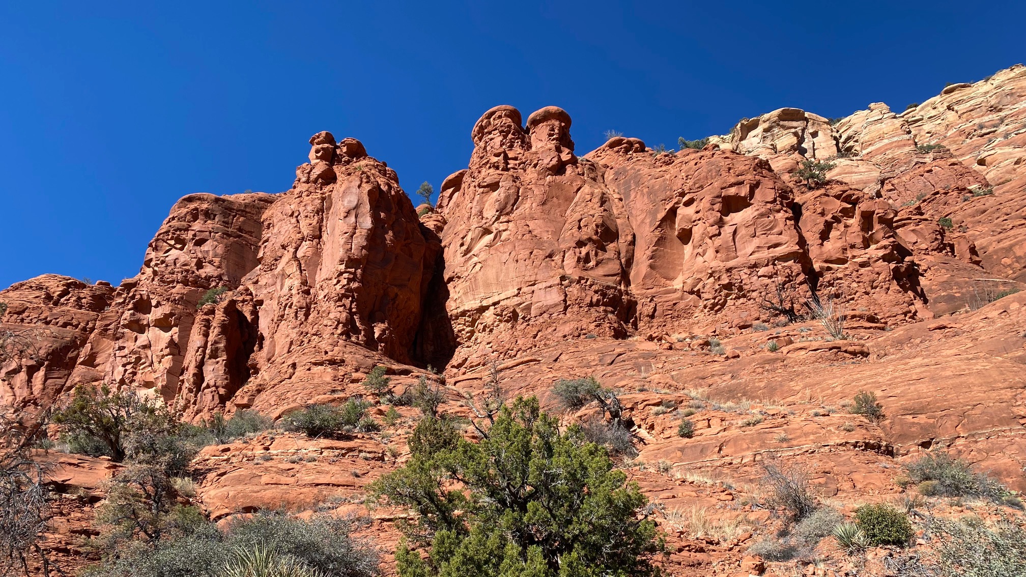Desert Collection